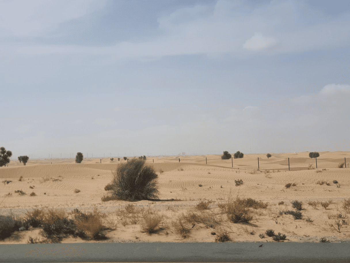 Safári pelo Deserto de Dubai