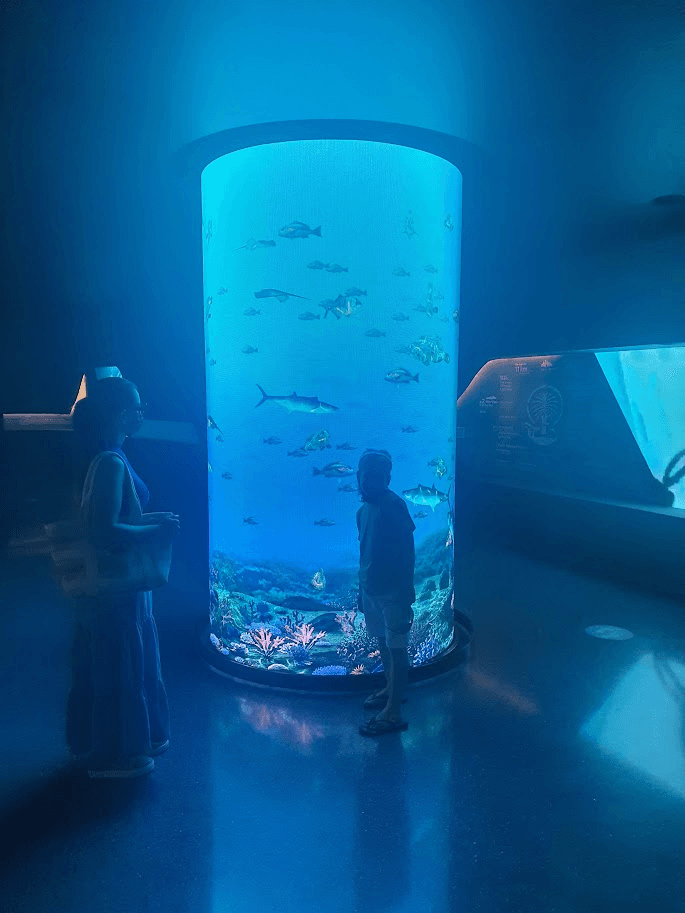 The Lost Chambers Aquarium (atual Lost World Aquarium)